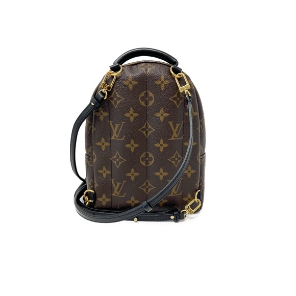 Louis Vuitton Palm Springs Mini Backpack - Picture 3 of 10